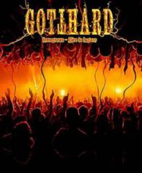 Gotthard : Homegrown-Alive in Lugano
